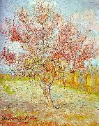Vincent Van Gogh Peach Tree in Bloom oil painting